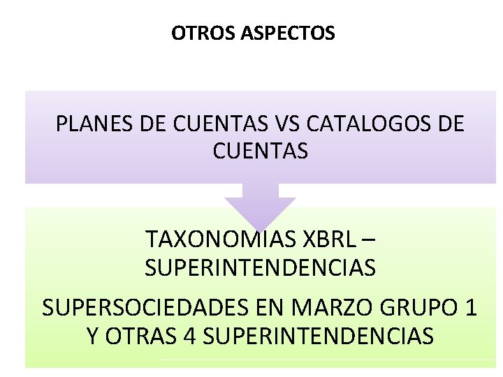 OTROS ASPECTOS PLANES DE CUENTAS VS CATALOGOS DE CUENTAS TAXONOMIAS XBRL – SUPERINTENDENCIAS SUPERSOCIEDADES