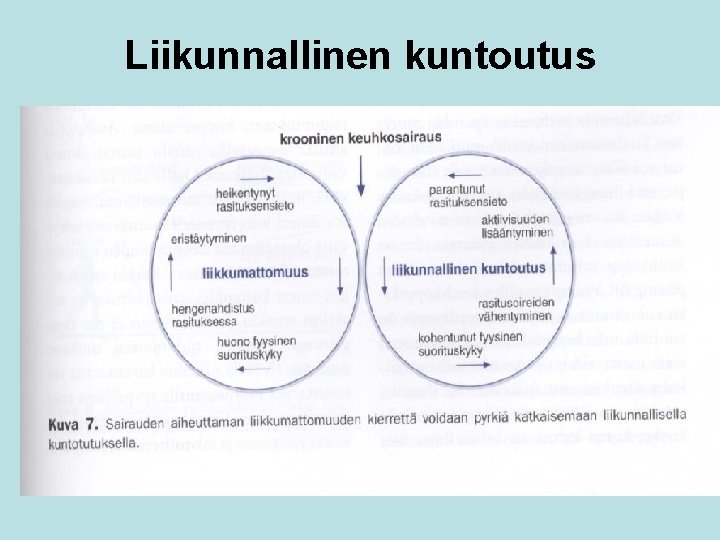 Liikunnallinen kuntoutus 