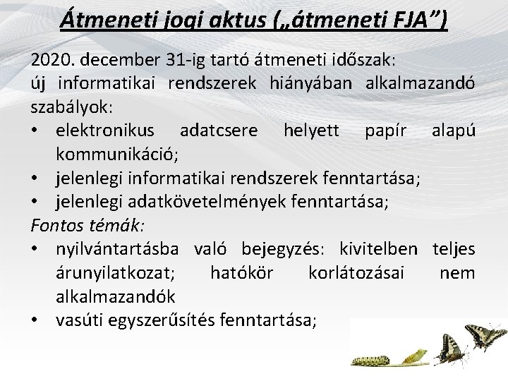 Átmeneti jogi aktus („átmeneti FJA”) 2020. december 31 -ig tartó átmeneti időszak: új informatikai