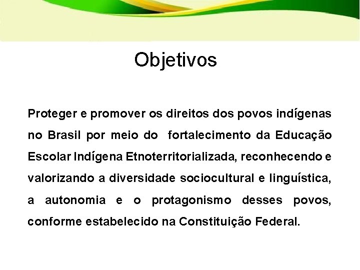 Objetivos Proteger e promover os direitos dos povos indígenas no Brasil por meio do