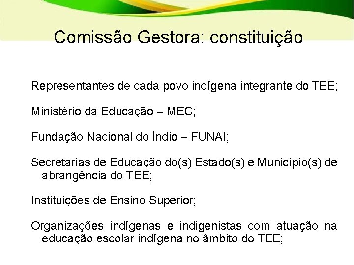 Comissão Gestora: constituição Representantes de cada povo indígena integrante do TEE; Ministério da Educação