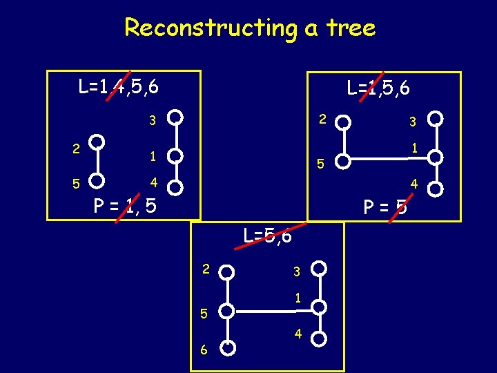 Reconstructing a tree L=1, 4, 5, 6 L=1, 5, 6 2 3 2 5