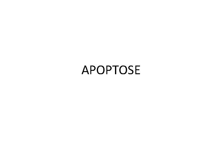 APOPTOSE 