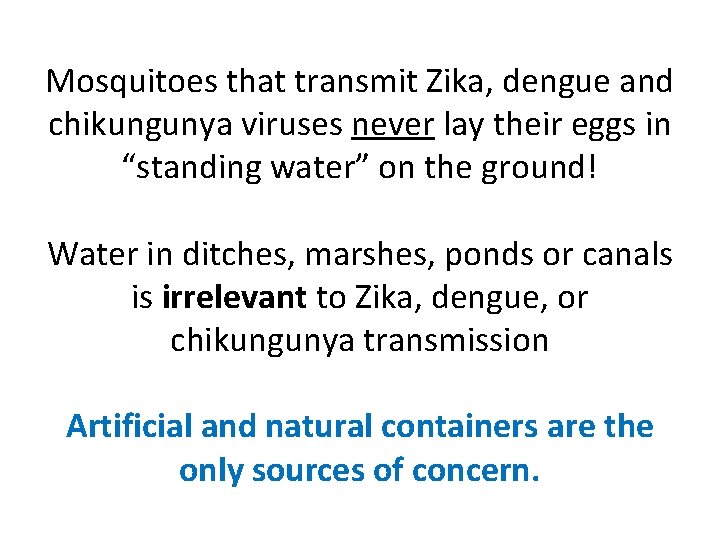 Mosquitoes that transmit Zika, dengue and chikungunya viruses never lay their eggs in “standing