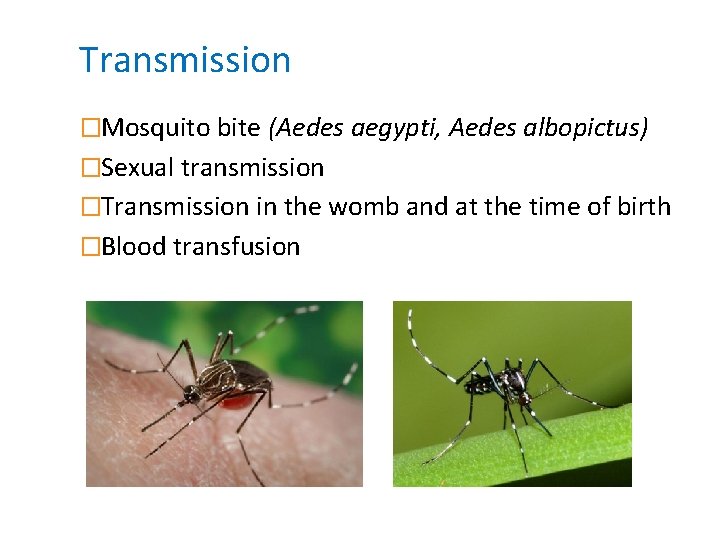 Transmission �Mosquito bite (Aedes aegypti, Aedes albopictus) �Sexual transmission �Transmission in the womb and