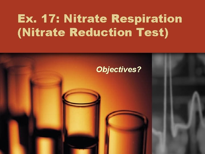 Ex. 17: Nitrate Respiration (Nitrate Reduction Test) Objectives? 
