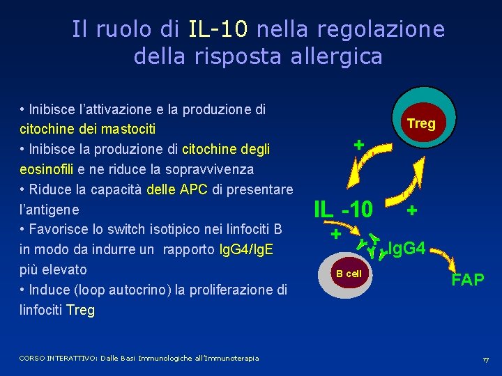 Il ruolo di IL-10 nella regolazione della risposta allergica • Inibisce l’attivazione e la