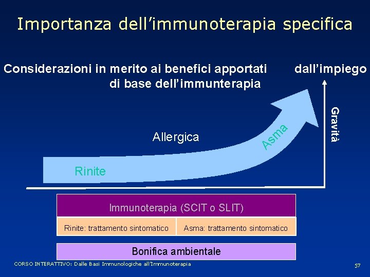 Importanza dell’immunoterapia specifica As m Gravità Allergica a Considerazioni in merito ai benefici apportati