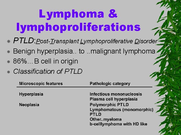 Lymphoma & lymphoproliferations PTLD: Post-Transplant Lymphoproliferative Disorder Benign hyperplasia. . to. . malignant lymphoma