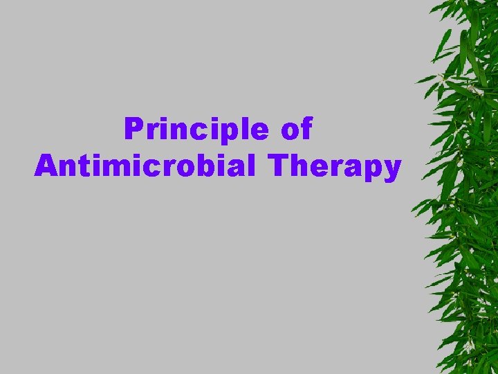 Principle of Antimicrobial Therapy 