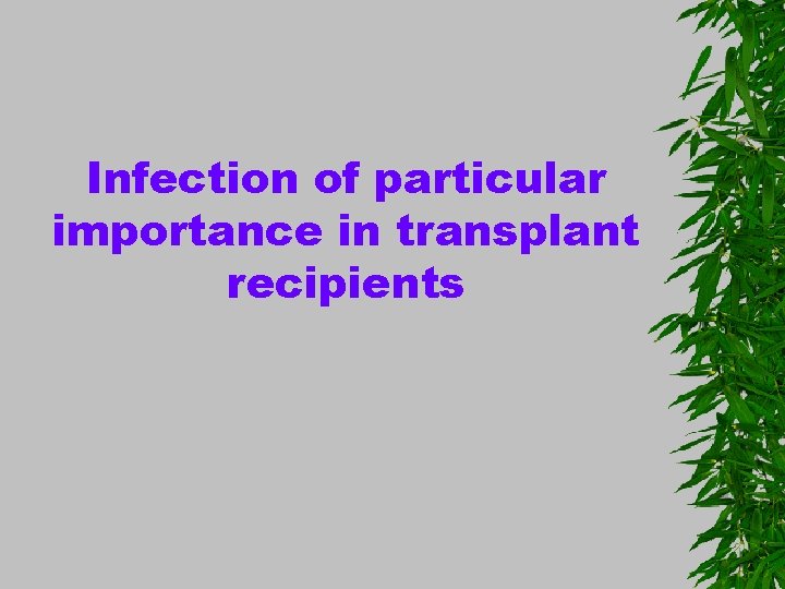 Infection of particular importance in transplant recipients 