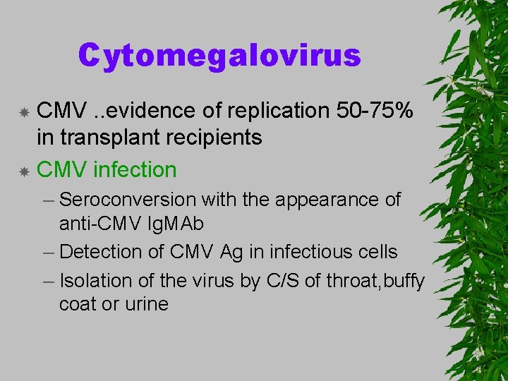 Cytomegalovirus CMV. . evidence of replication 50 -75% in transplant recipients CMV infection –