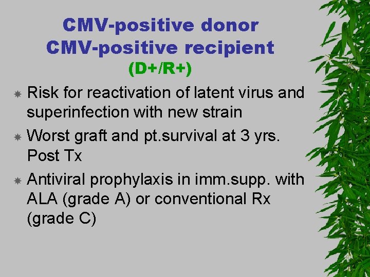 CMV-positive donor CMV-positive recipient (D+/R+) Risk for reactivation of latent virus and superinfection with