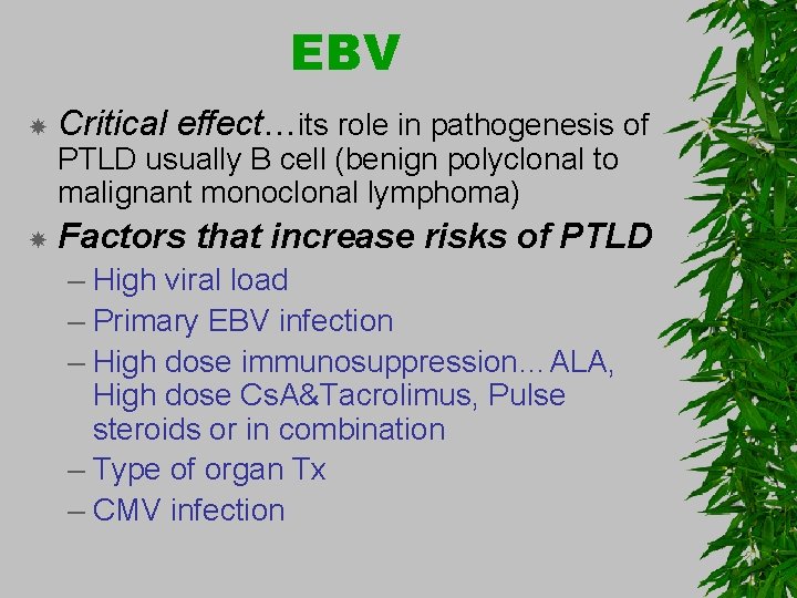 EBV Critical effect…its role in pathogenesis of PTLD usually B cell (benign polyclonal to