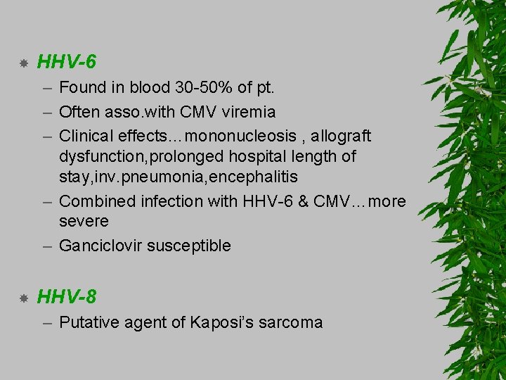  HHV-6 – Found in blood 30 -50% of pt. – Often asso. with