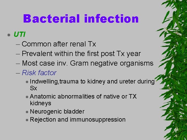 Bacterial infection UTI – Common after renal Tx – Prevalent within the first post