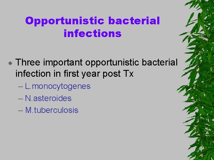 Opportunistic bacterial infections Three important opportunistic bacterial infection in first year post Tx –