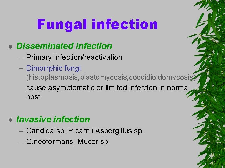 Fungal infection Disseminated infection – Primary infection/reactivation – Dimorrphic fungi (histoplasmosis, blastomycosis, coccidioidomycosis) cause