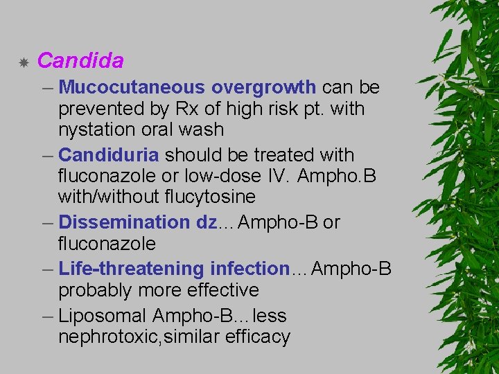  Candida – Mucocutaneous overgrowth can be prevented by Rx of high risk pt.