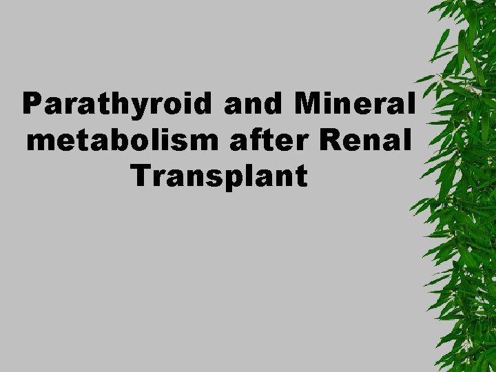 Parathyroid and Mineral metabolism after Renal Transplant 