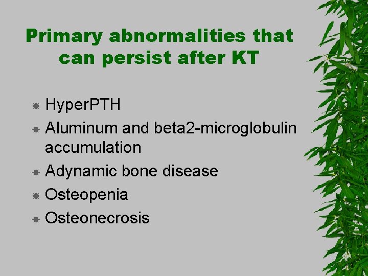 Primary abnormalities that can persist after KT Hyper. PTH Aluminum and beta 2 -microglobulin