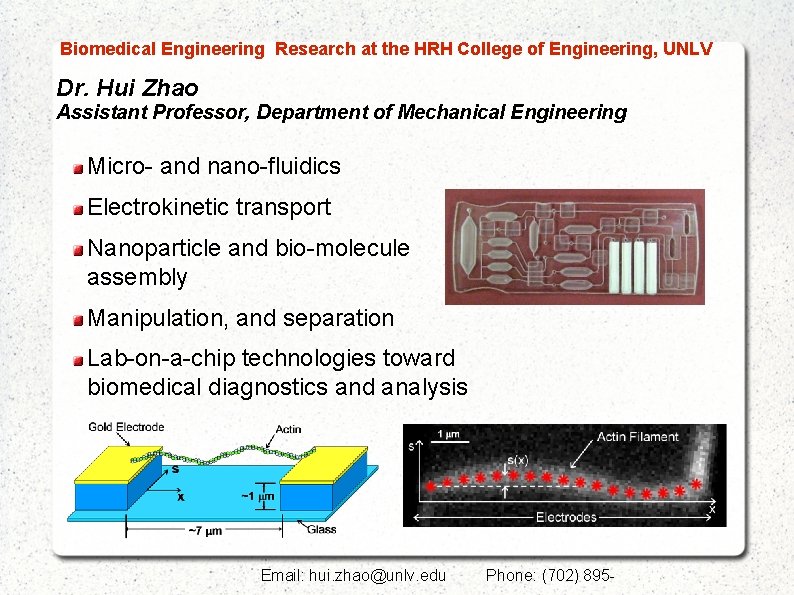  Biomedical Engineering Research at the HRH College of Engineering, UNLV Dr. Hui Zhao