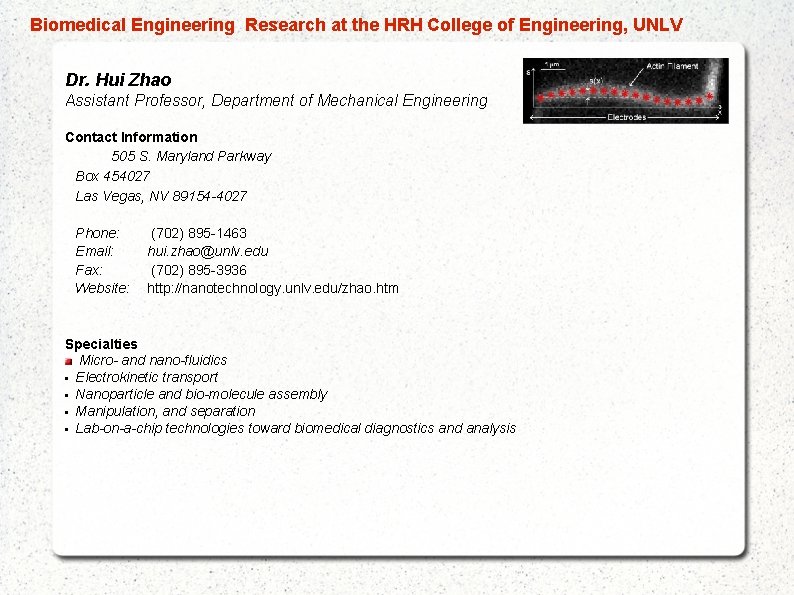  Biomedical Engineering Research at the HRH College of Engineering, UNLV Dr. Hui Zhao