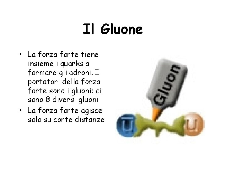 Il Gluone • La forza forte tiene insieme i quarks a formare gli adroni.