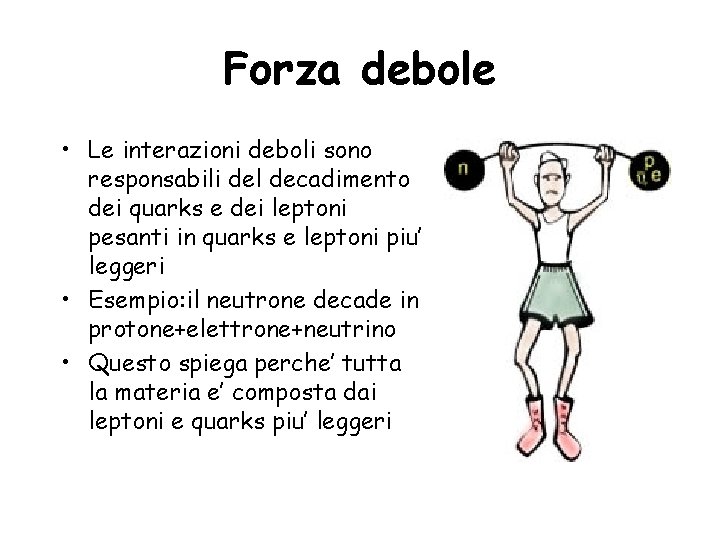 Forza debole • Le interazioni deboli sono responsabili del decadimento dei quarks e dei