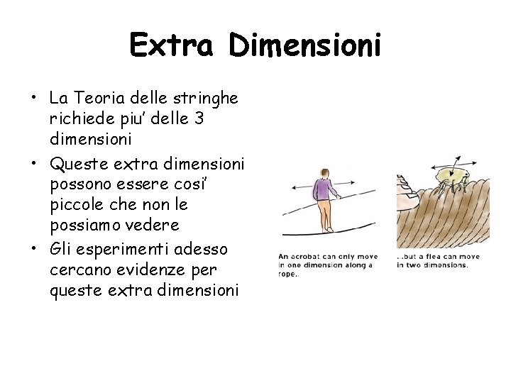 Extra Dimensioni • La Teoria delle stringhe richiede piu’ delle 3 dimensioni • Queste