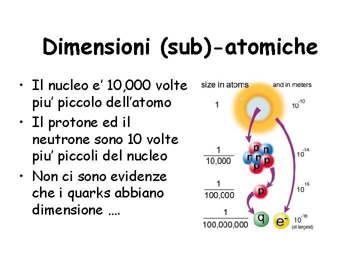 Dimensioni (sub)-atomiche • Il nucleo e’ 10, 000 volte piu’ piccolo dell’atomo • Il