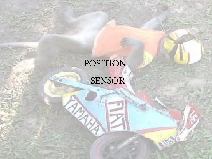 POSITION SENSOR 