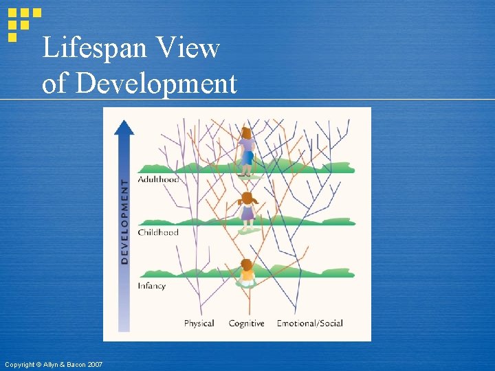 Lifespan View of Development Copyright © Allyn & Bacon 2007 