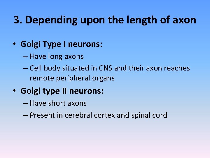 3. Depending upon the length of axon • Golgi Type I neurons: – Have