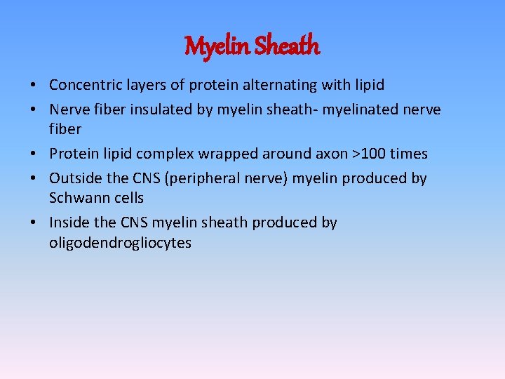 Myelin Sheath • Concentric layers of protein alternating with lipid • Nerve fiber insulated