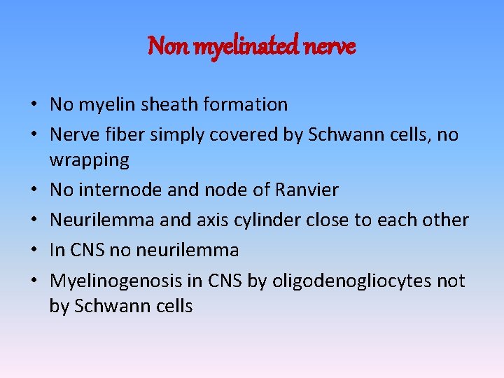 Non myelinated nerve • No myelin sheath formation • Nerve fiber simply covered by