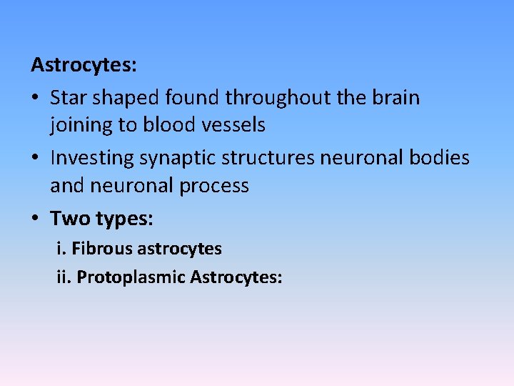 Astrocytes: • Star shaped found throughout the brain joining to blood vessels • Investing