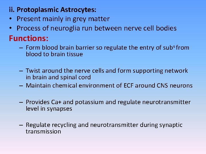 ii. Protoplasmic Astrocytes: • Present mainly in grey matter • Process of neuroglia run