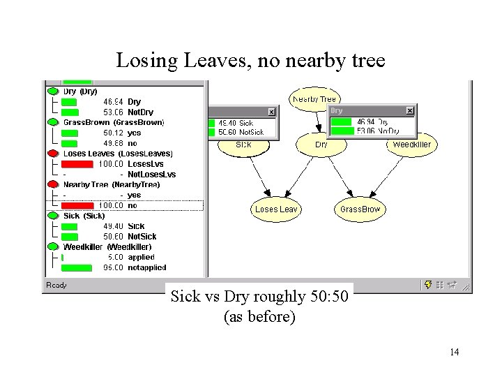 Losing Leaves, no nearby tree Sick vs Dry roughly 50: 50 (as before) 14