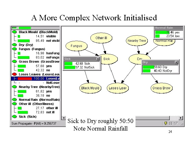A More Complex Network Initialised Sick to Dry roughly 50: 50 Note Normal Rainfall