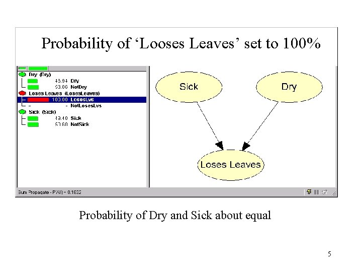 Probability of ‘Looses Leaves’ set to 100% Probability of Dry and Sick about equal