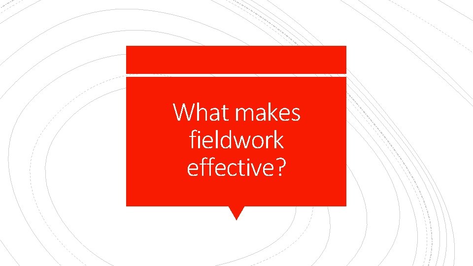 What makes fieldwork effective? 