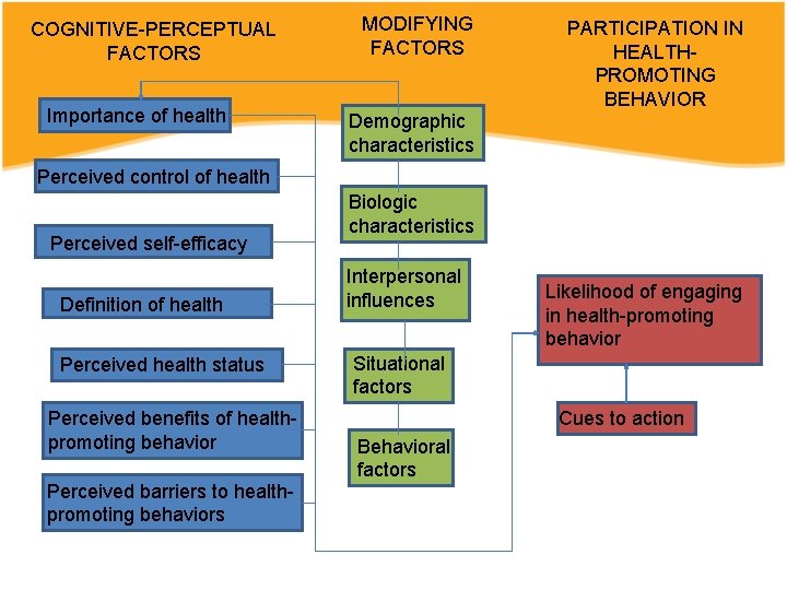 COGNITIVE-PERCEPTUAL FACTORS Importance of health MODIFYING FACTORS PARTICIPATION IN HEALTHPROMOTING BEHAVIOR Demographic characteristics Perceived