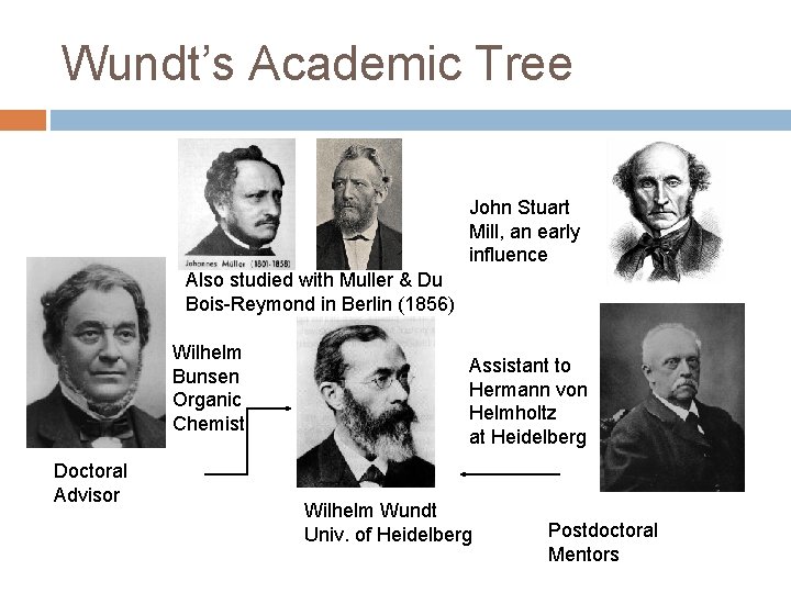 Wundt’s Academic Tree John Stuart Mill, an early influence Also studied with Muller &