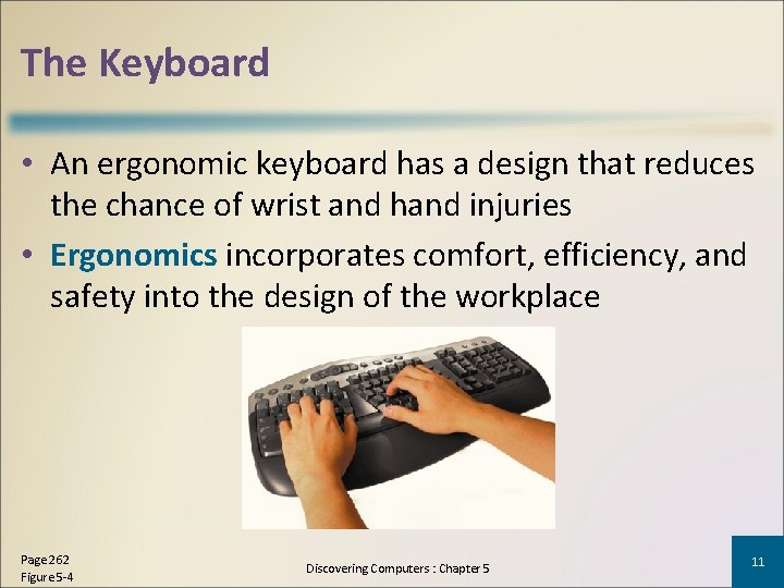 The Keyboard • An ergonomic keyboard has a design that reduces the chance of