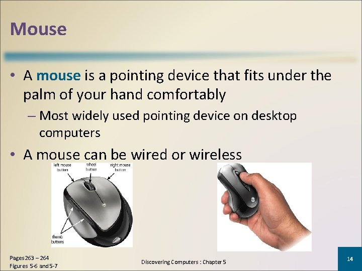 Mouse • A mouse is a pointing device that fits under the palm of