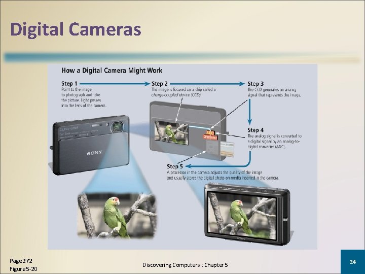 Digital Cameras Page 272 Figure 5 -20 Discovering Computers : Chapter 5 24 