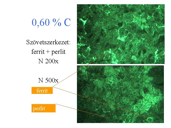 0, 60 % C Szövetszerkezet: ferrit + perlit N 200 x N 500 x