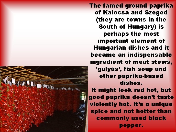 The famed ground paprika of Kalocsa and Szeged (they are towns in the South