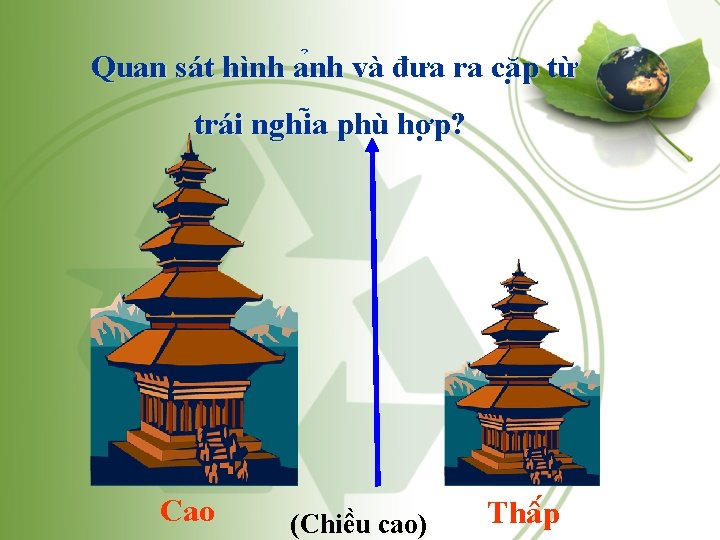 Quan sát hình a nh và đưa ra că p từ trái nghi a Quan sát hình a nh và đưa ra că p từ trái nghi a